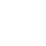 Discos Duros y SSDs